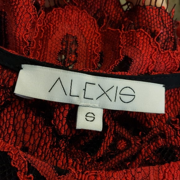 Alexis Piero Semi Sheer Lace Crop Top - Picture 6 of 7